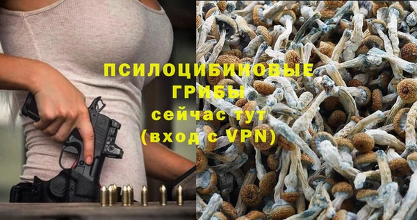 герыч Бородино