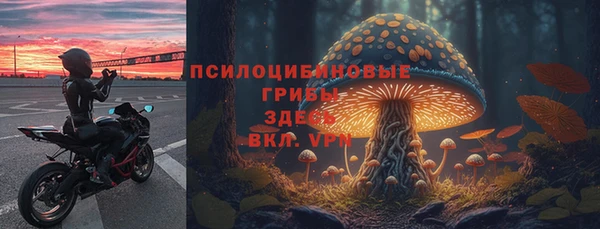 гидра Бугульма