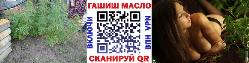 Купить где  Мценск  ТГК THC oil 