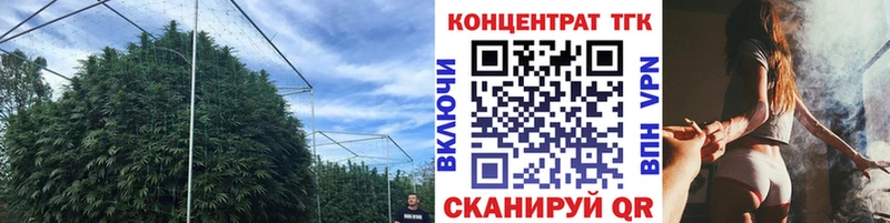 Дистиллят ТГК THC oil Мценск