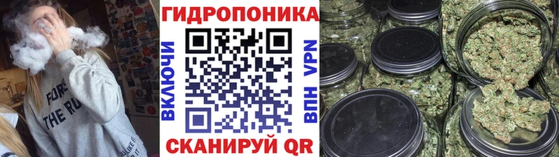 Купить закладки  Мценск  Канабис Amnesia 